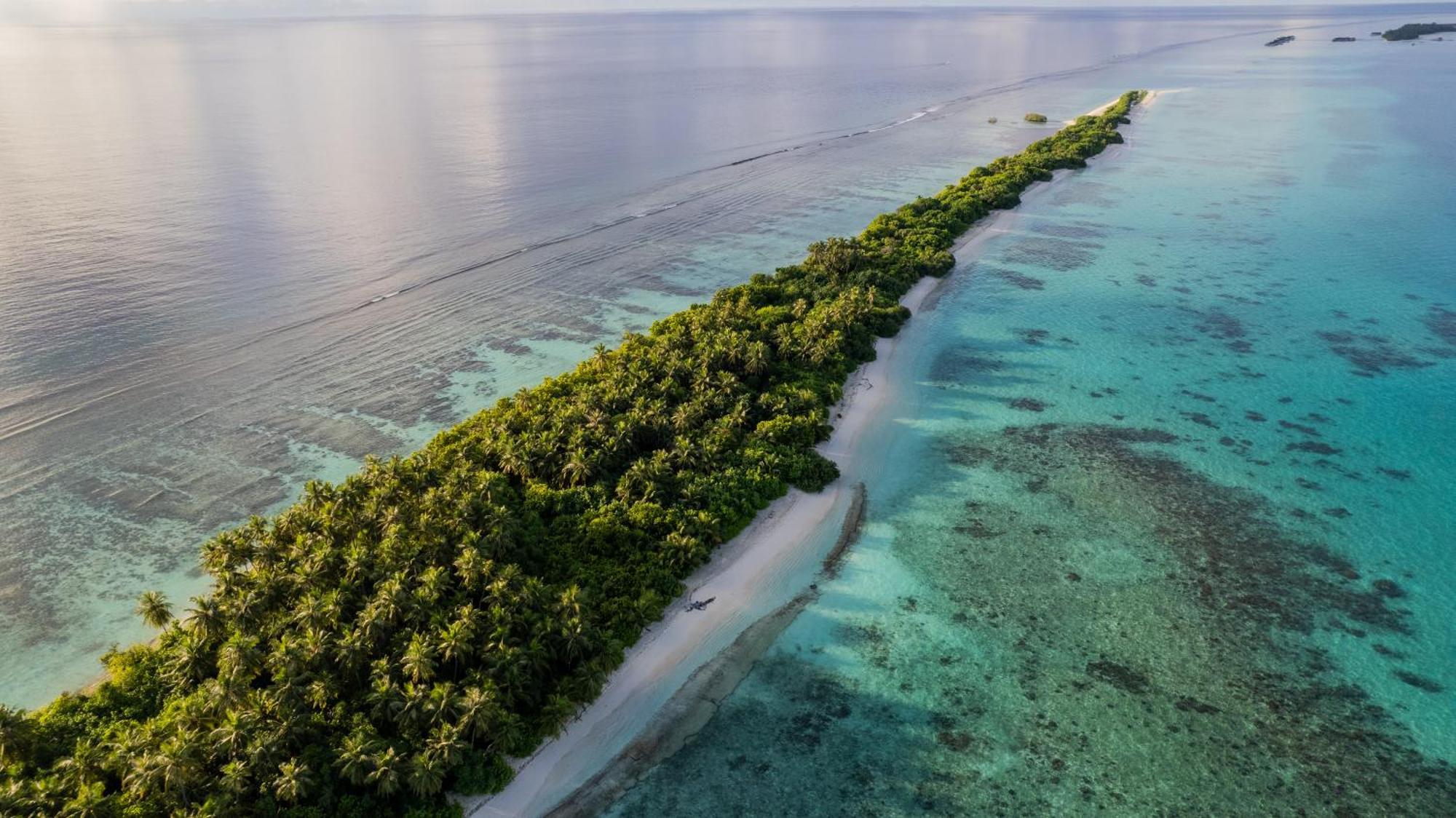 Whaleshark Beach Dhigurah  Bagian luar foto